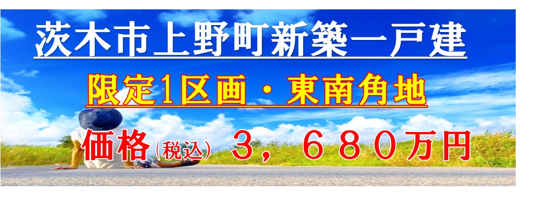 上野町新築戸建