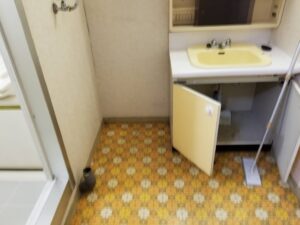 IMG_0281