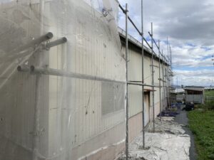 IMG_4731