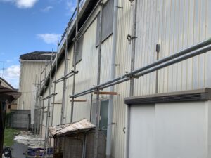 IMG_4733
