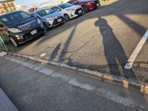 IMG_5231