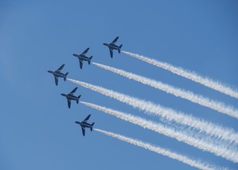 30455167_s
